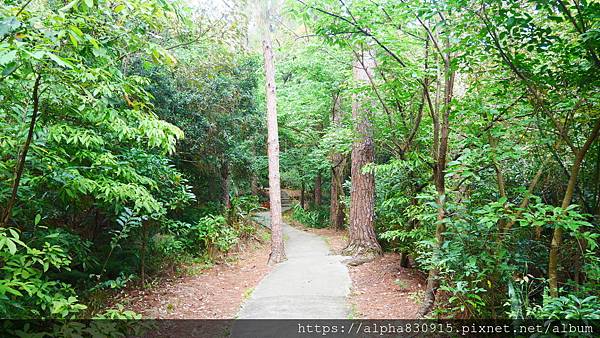 P1400585.JPG P1400585.JPG