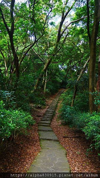 P1400586.JPG P1400586.JPG