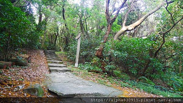 P1400588.JPG P1400588.JPG