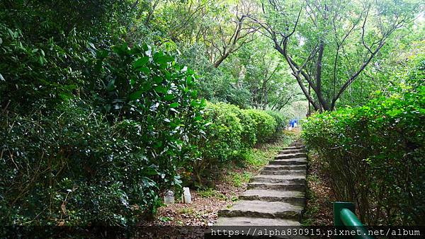 P1400595.JPG P1400595.JPG