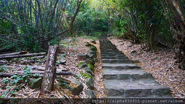 P1400594.JPG P1400594.JPG