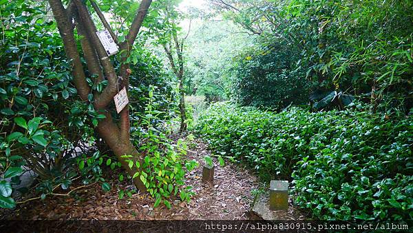 P1400601.JPG P1400601.JPG