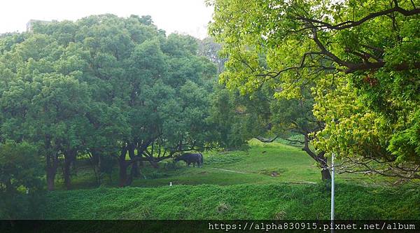 P1400640.JPG P1400640.JPG