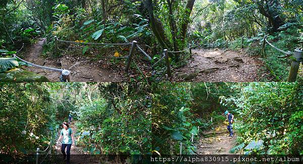 下坡.jpg 下坡.jpg