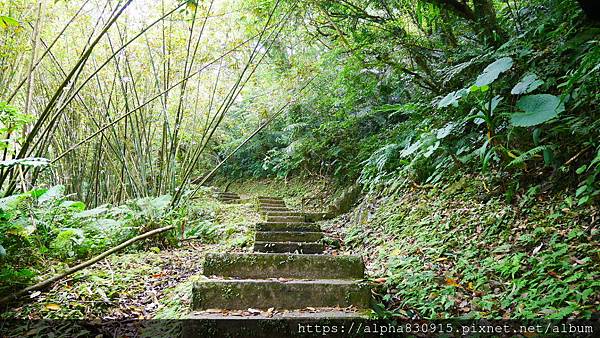 P1400664.JPG P1400664.JPG