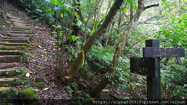 P1400679.JPG P1400679.JPG