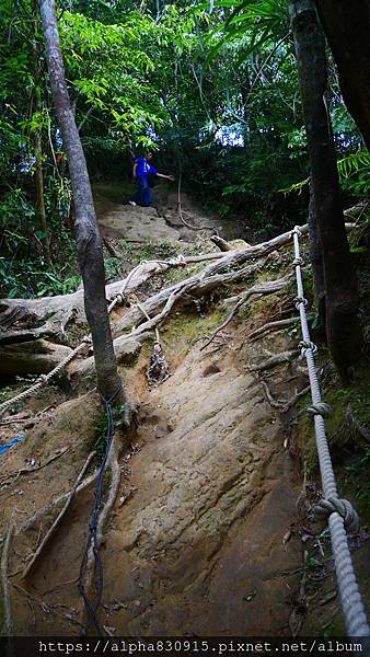 P1400681.JPG P1400681.JPG