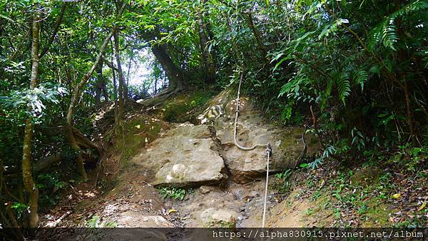 P1400683.JPG P1400683.JPG