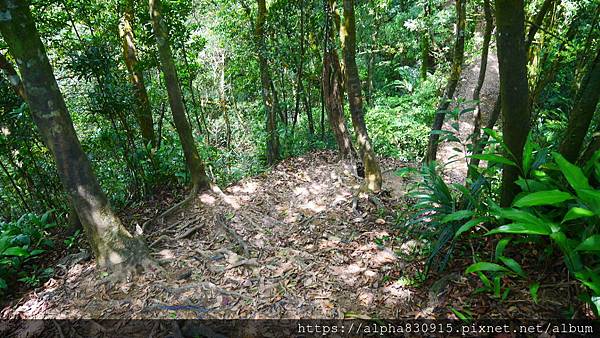 P1400729.JPG P1400729.JPG