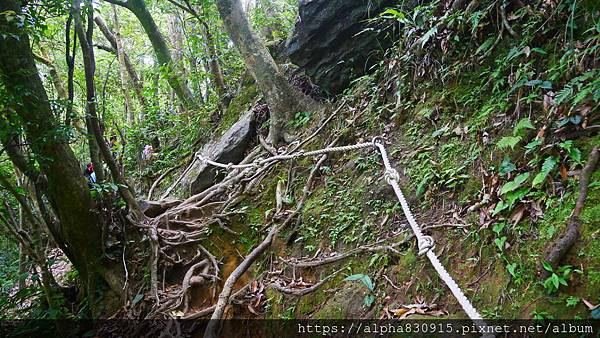 P1400736.JPG P1400736.JPG