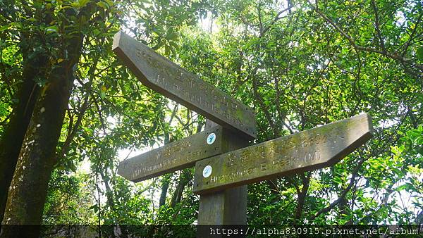 P1400753.JPG P1400753.JPG