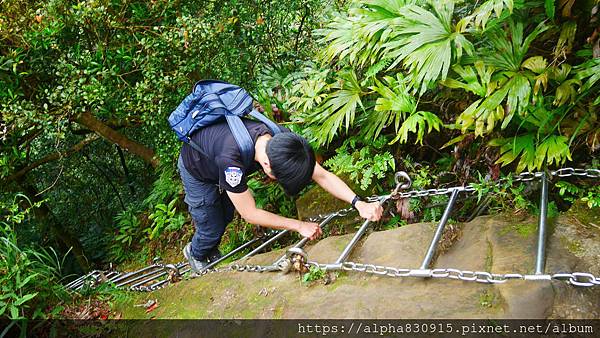 P1400867.JPG P1400867.JPG