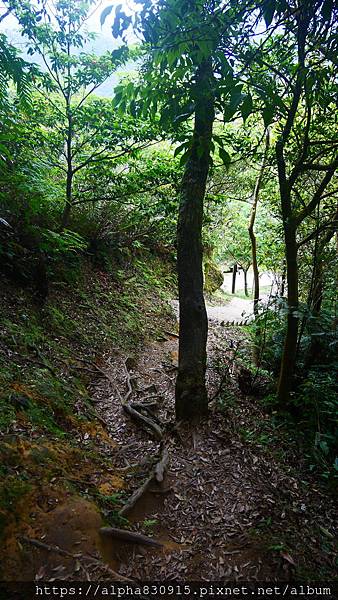 P1400887.JPG P1400887.JPG