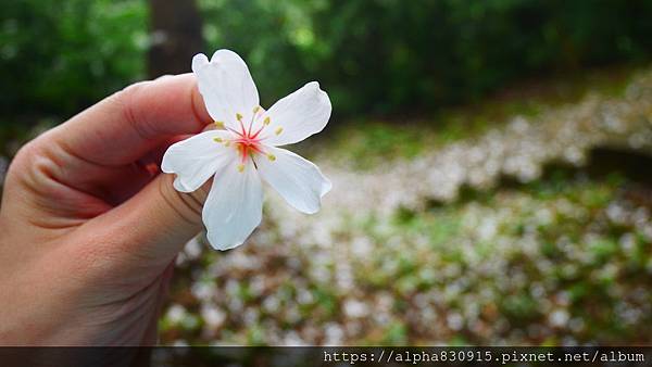 P1400897.JPG P1400897.JPG