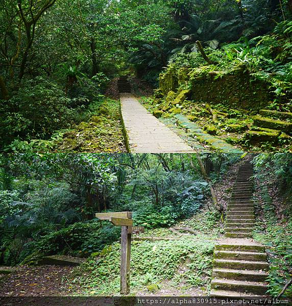 上山.jpg 上山.jpg