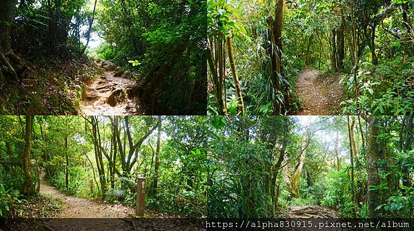 往東峰.jpg 往東峰.jpg