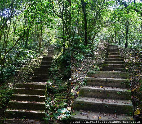 樓梯上坡.jpg 樓梯上坡.jpg