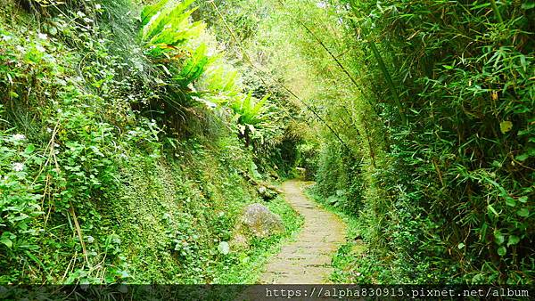 P1400920.JPG P1400920.JPG