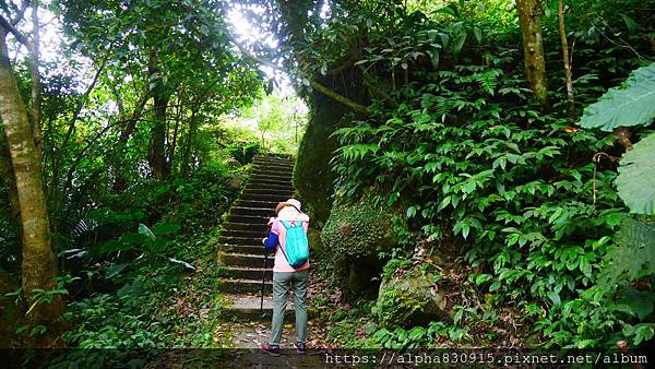 P1400937.JPG P1400937.JPG