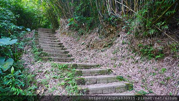 P1400951.JPG P1400951.JPG