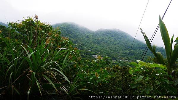 P1400959.JPG P1400959.JPG