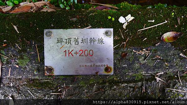 P1400960.JPG P1400960.JPG