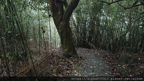 P1400982.JPG P1400982.JPG