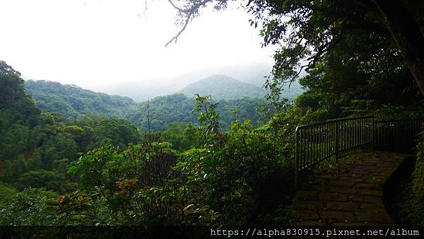 P1400993.JPG P1400993.JPG