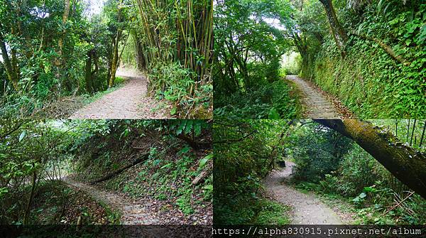 平地路段.jpg 平地路段.jpg