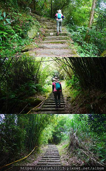 平緩上升.jpg 平緩上升.jpg