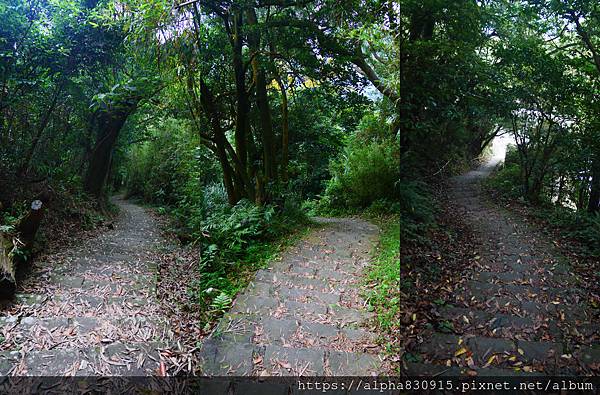 無限下樓梯.jpg 無限下樓梯.jpg