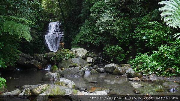 P1460271.JPG P1460271.JPG