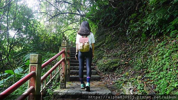 P1460282.JPG P1460282.JPG