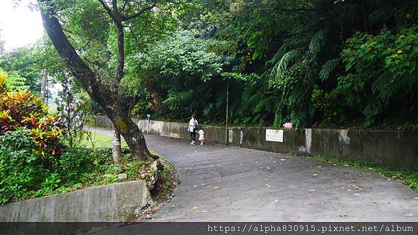 P1460289.JPG P1460289.JPG