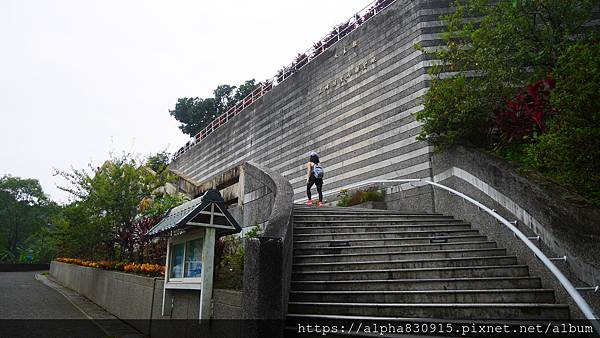 P1460290.JPG P1460290.JPG