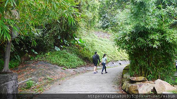 P1460305.JPG P1460305.JPG