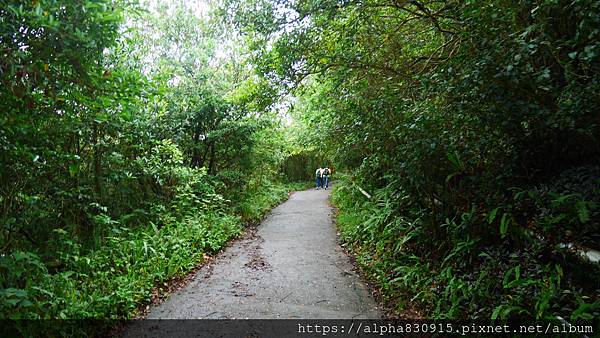 P1460312.JPG P1460312.JPG