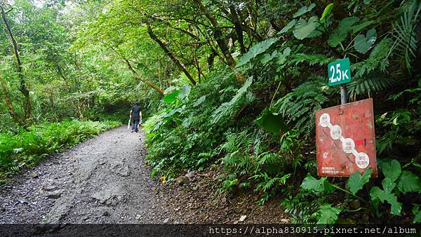 P1460317.JPG P1460317.JPG