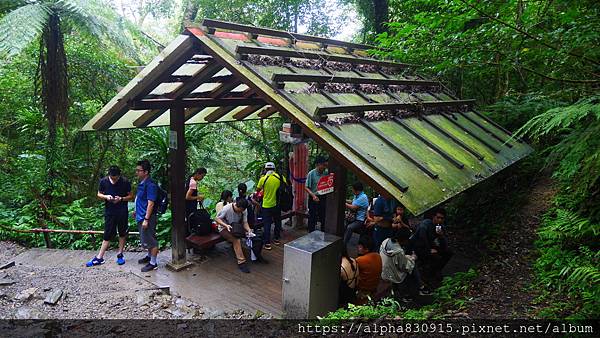 P1460351.JPG P1460351.JPG