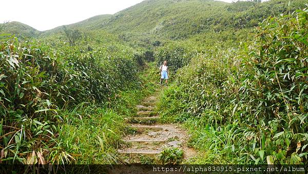 P1460361.JPG P1460361.JPG