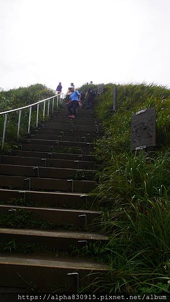 P1460397.JPG P1460397.JPG