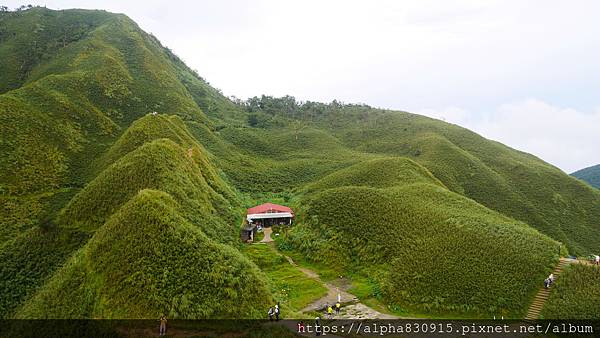 P1460399.JPG P1460399.JPG