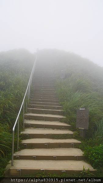 P1460452.JPG P1460452.JPG