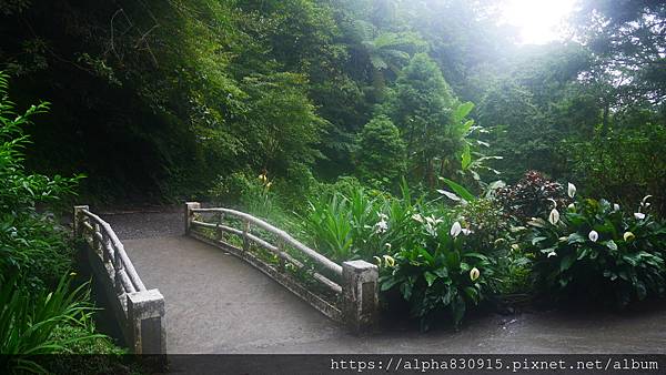 P1460476.JPG P1460476.JPG