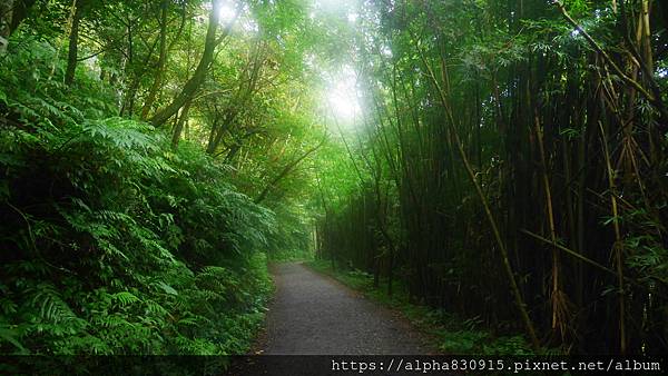 P1460478.JPG P1460478.JPG