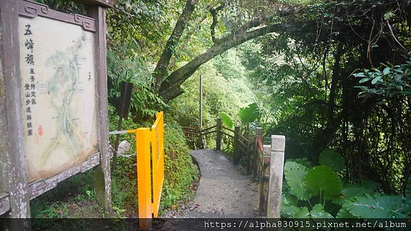 P1460490.JPG P1460490.JPG