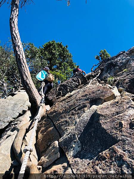 20201101 鳶嘴稍來步道_201113_5.jpg