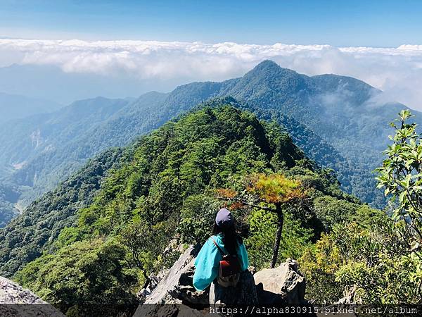 20201101 鳶嘴稍來步道_201113_7.jpg