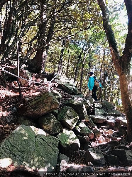 20201101 鳶嘴稍來步道_201113_0.jpg 20201101 鳶嘴稍來步道_201113_0.jpg