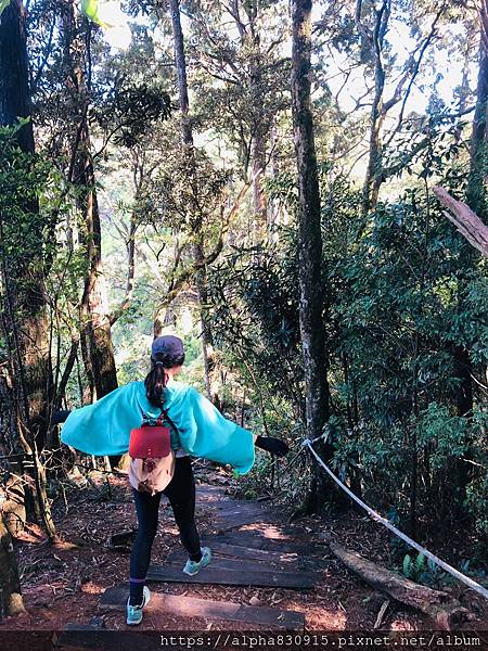 20201101 鳶嘴稍來步道_201113_14.jpg 20201101 鳶嘴稍來步道_201113_14.jpg